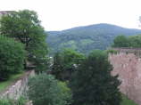Heidelberg_033
